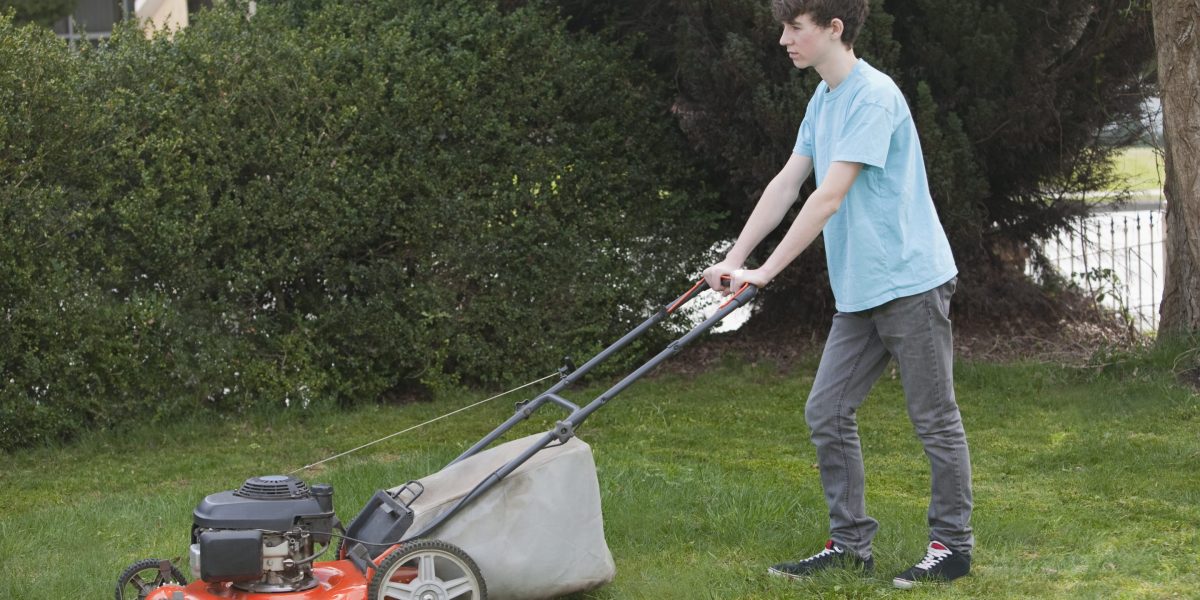 AI told me hilariously wrong things about Elon Musk's childhood job at a landscaping company—here's why that matters on Labor Day