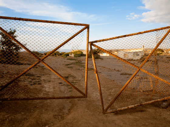 Private Markets: Guardians at the Gate?