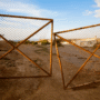 Private Markets: Guardians at the Gate?