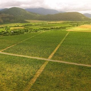 Georgia Secures 0M Partnership to Advance Tokenized Real‑World Asset (RWA) Agriculture