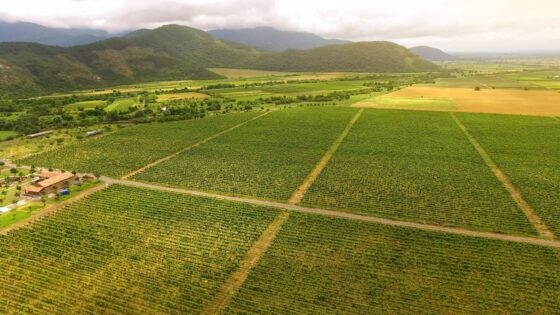 Georgia Secures 0M Partnership to Advance Tokenized Real‑World Asset (RWA) Agriculture