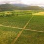 Georgia Secures 0M Partnership to Advance Tokenized Real‑World Asset (RWA) Agriculture