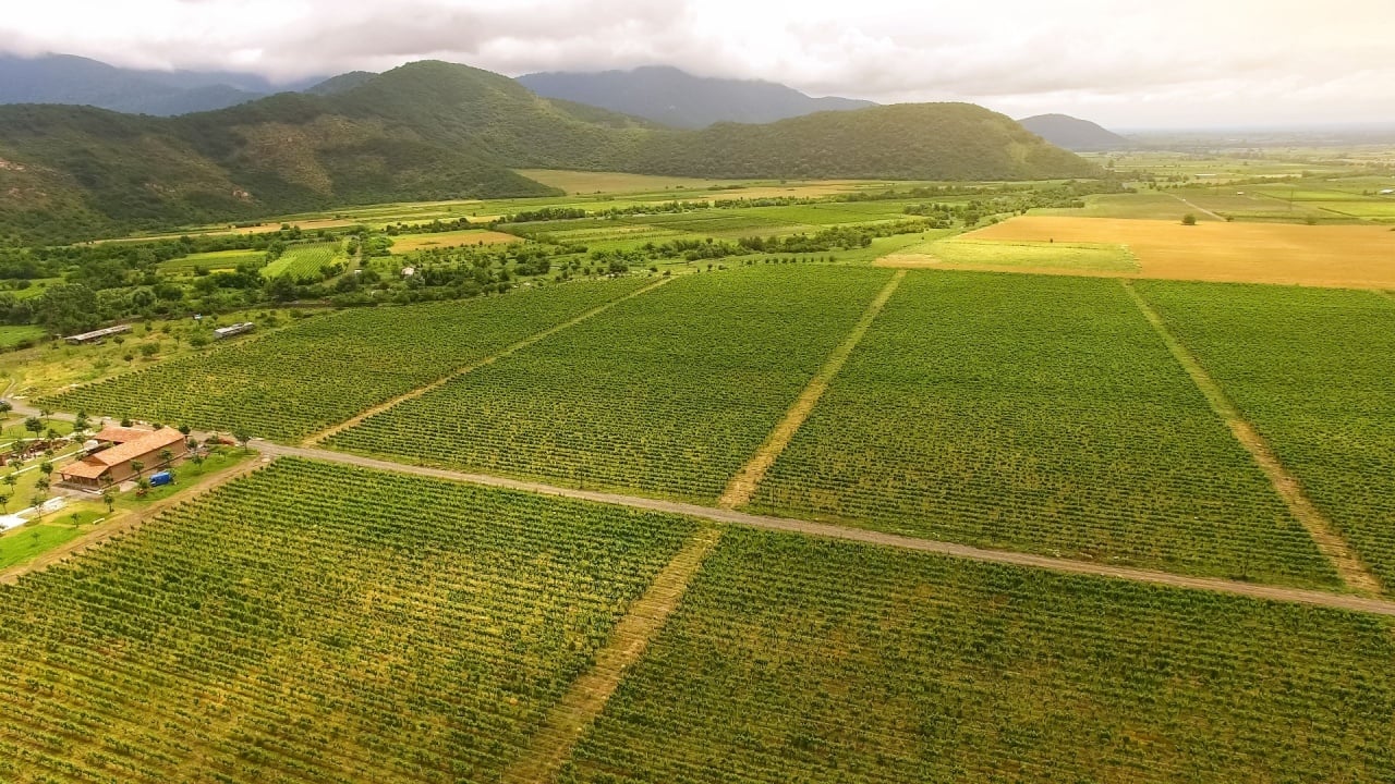 Georgia Secures $100M Partnership to Advance Tokenized Real‑World Asset (RWA) Agriculture