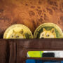 Dogecoin Breaks Out, Eyes Historic Surge Between alt=