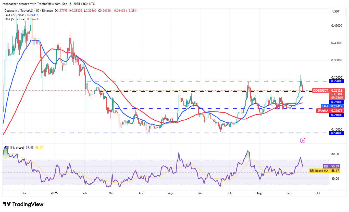 Dogecoin, Cryptocurrencies, Dollar, Bitcoin Price, XRP, Markets, Cryptocurrency Exchange, Cardano, Price Analysis, Binance Coin, Market Analysis, Ether Price, Solana, S&P 500, Whale, Ethereum ETF, Bitcoin ETF, ETF