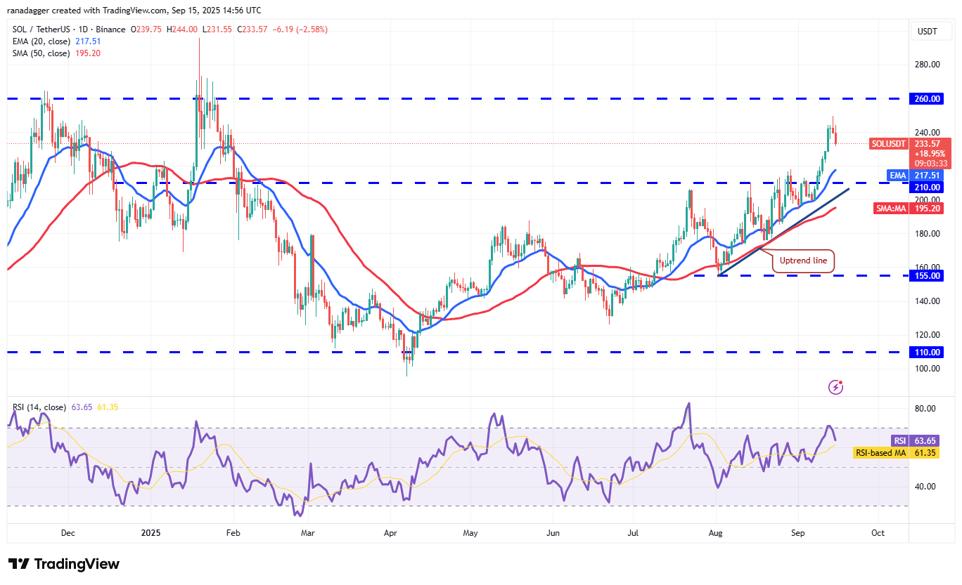 Dogecoin, Cryptocurrencies, Dollar, Bitcoin Price, XRP, Markets, Cryptocurrency Exchange, Cardano, Price Analysis, Binance Coin, Market Analysis, Ether Price, Solana, S&P 500, Whale, Ethereum ETF, Bitcoin ETF, ETF
