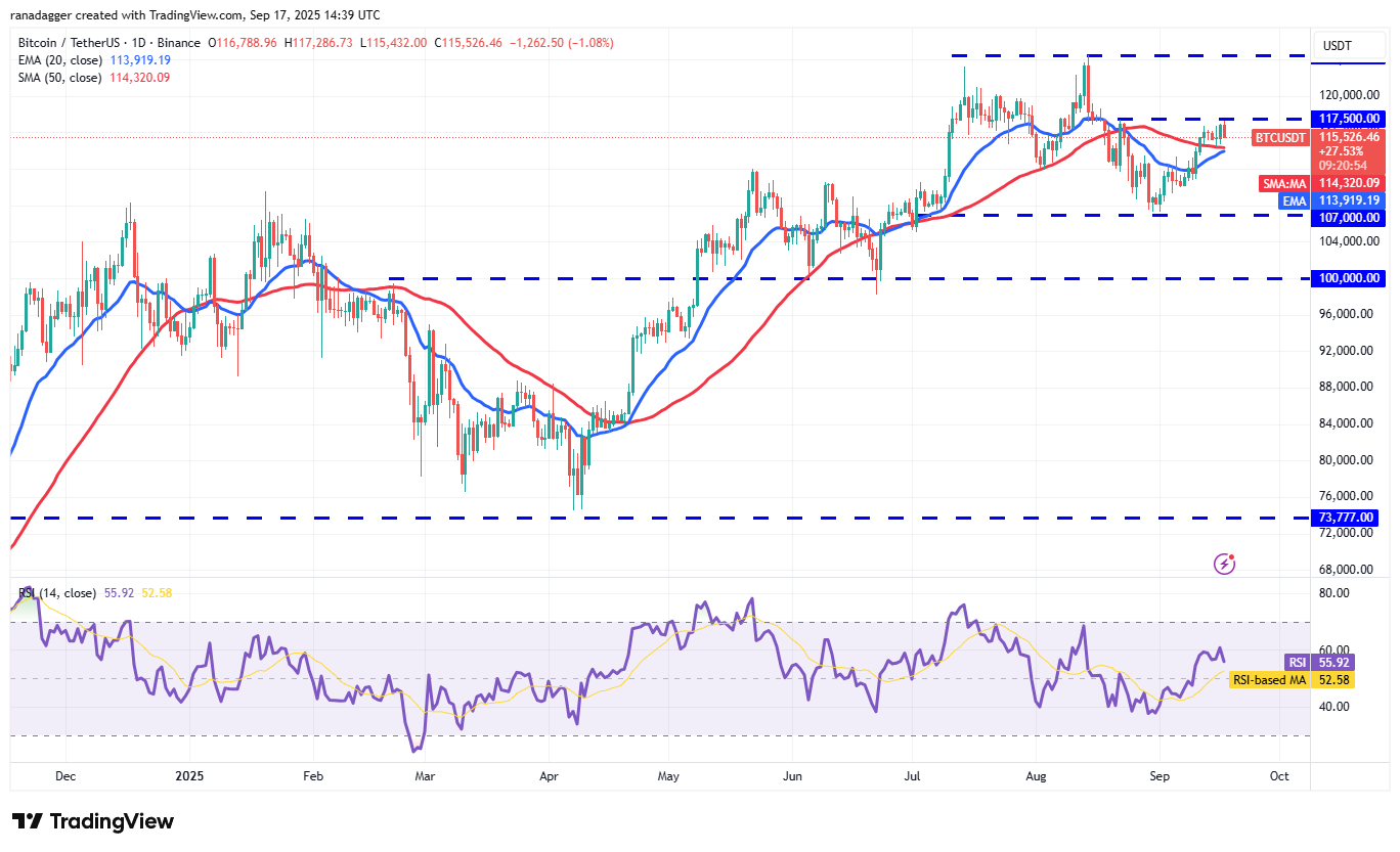 Dogecoin, Cryptocurrencies, Federal Reserve, Bitcoin Price, XRP, Markets, Cryptocurrency Exchange, Interest Rate, Tom Lee, Cardano, Price Analysis, Binance Coin, Chainlink, Fundstrat, Market Analysis, Ether Price, Solana, SUI
