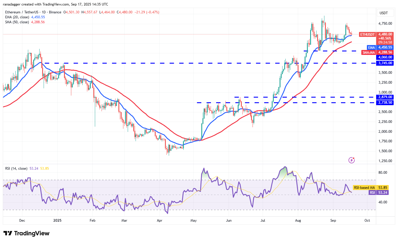 Dogecoin, Cryptocurrencies, Federal Reserve, Bitcoin Price, XRP, Markets, Cryptocurrency Exchange, Interest Rate, Tom Lee, Cardano, Price Analysis, Binance Coin, Chainlink, Fundstrat, Market Analysis, Ether Price, Solana, SUI