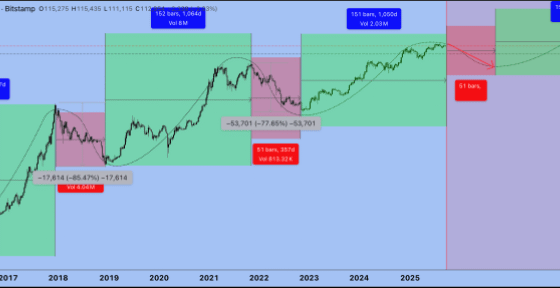 Analyst Says Bitcoin Bear Market Has Started, Predicts 50% Crash To ,000