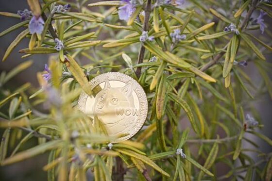 Analyst Sets  Target For The Dogecoin Price If This Happens