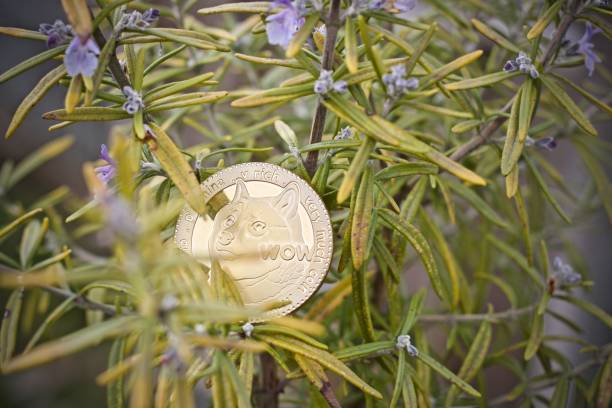 Analyst Sets $5 Target For The Dogecoin Price If This Happens