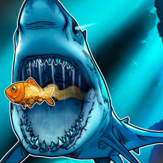 BTC Treasury Smarter Web Company Looks to Buy Competition
