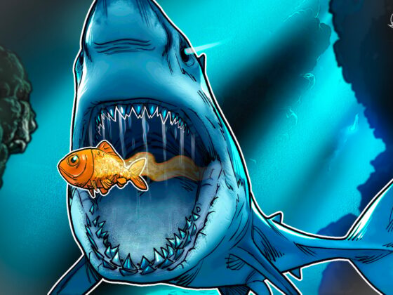 BTC Treasury Smarter Web Company Looks to Buy Competition