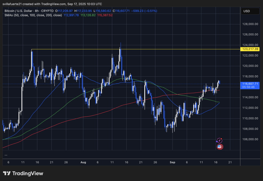 BTC consolidates around $115K | Source: BTCUSDT chart on TradingView
