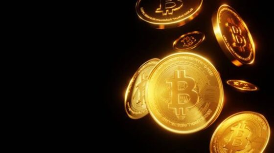 Bitcoin Treasury Purchases Down Amid Record Holdings – What Does This Mean?