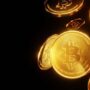 Bitcoin Treasury Purchases Down Amid Record Holdings – What Does This Mean?