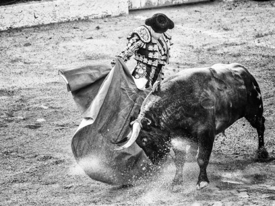 Crypto Pundit Gives Reasons Why Investors Should Be Extra Bullish On XRP