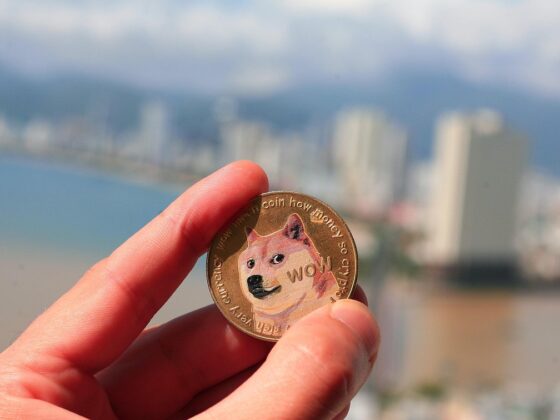 Dogecoin Hits Multi-Month High, Veteran Trader Says It’s A Critical Progress
