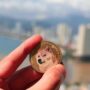 Dogecoin Hits Multi-Month High, Veteran Trader Says It’s A Critical Progress