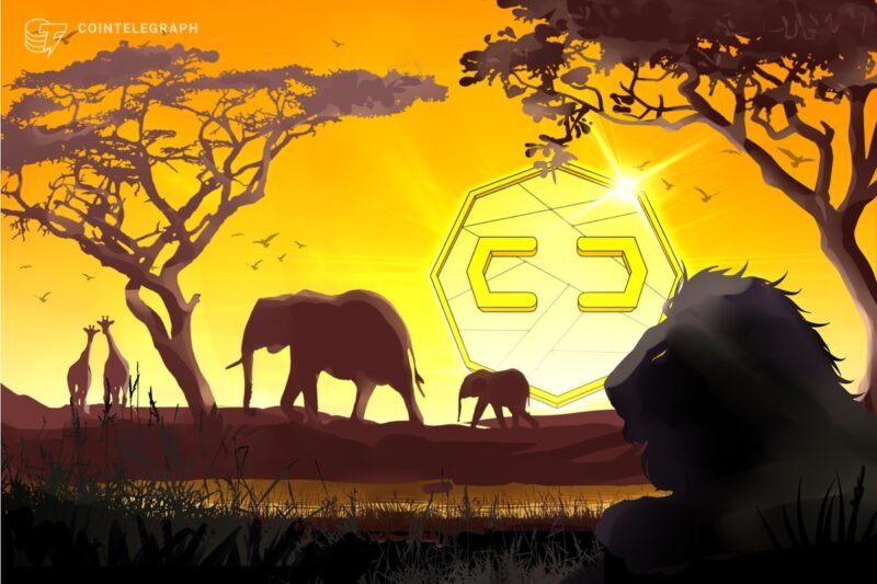 Sub-Saharan Africa Third-Fastest in Crypto Adoption: Report