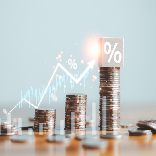Economic Outlook 2026-2027 in Advanced Countries: Solidity test