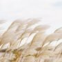 Advanced economies: Resilience to shock after shock
